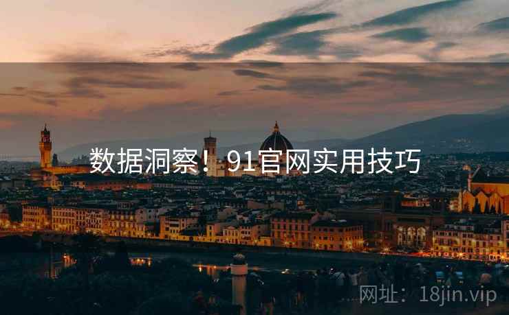 数据洞察！91官网实用技巧