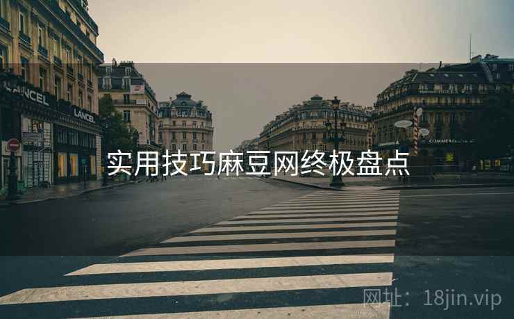 实用技巧麻豆网终极盘点