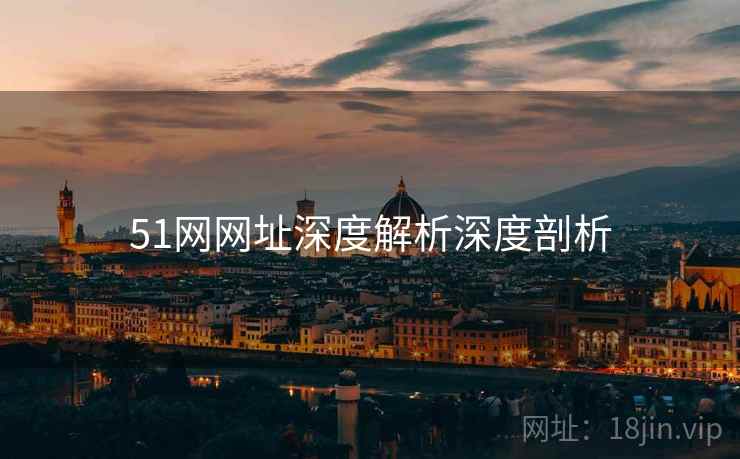 51网网址深度解析深度剖析