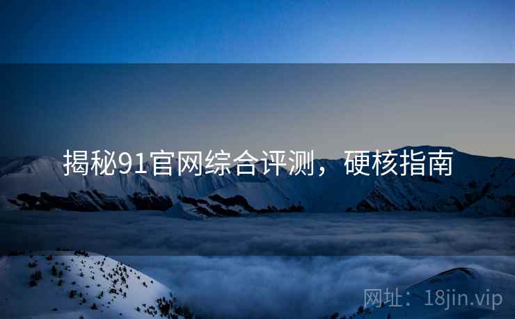 揭秘91官网综合评测，硬核指南