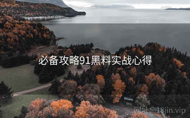 必备攻略91黑料实战心得