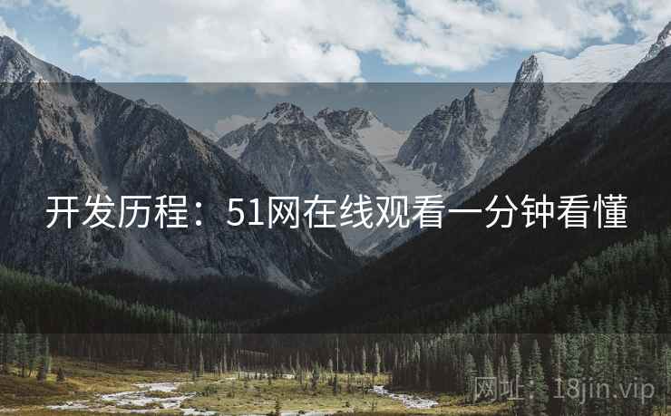 开发历程：51网在线观看一分钟看懂
