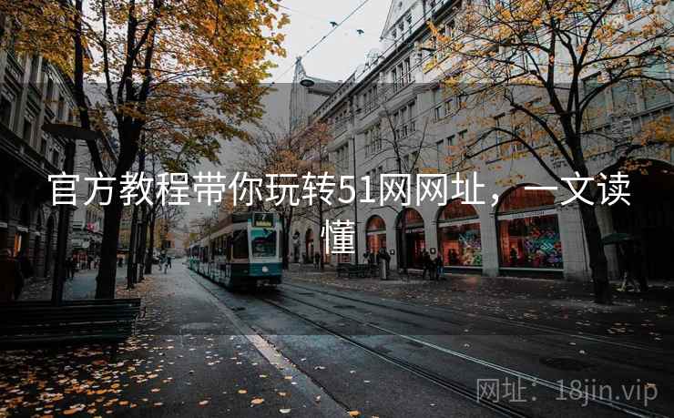 官方教程带你玩转51网网址，一文读懂