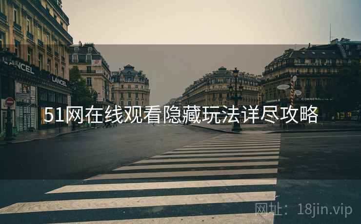 51网在线观看隐藏玩法详尽攻略