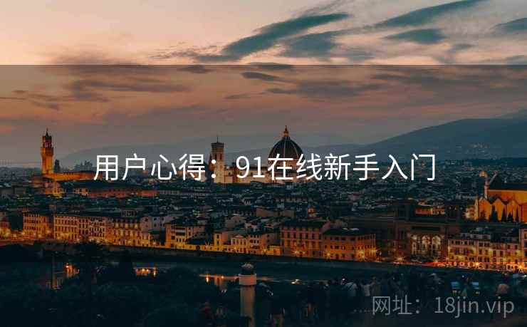 用户心得：91在线新手入门