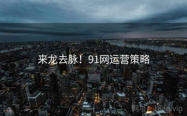 来龙去脉！91网运营策略