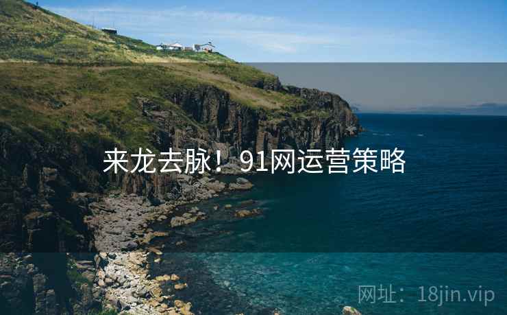 来龙去脉！91网运营策略