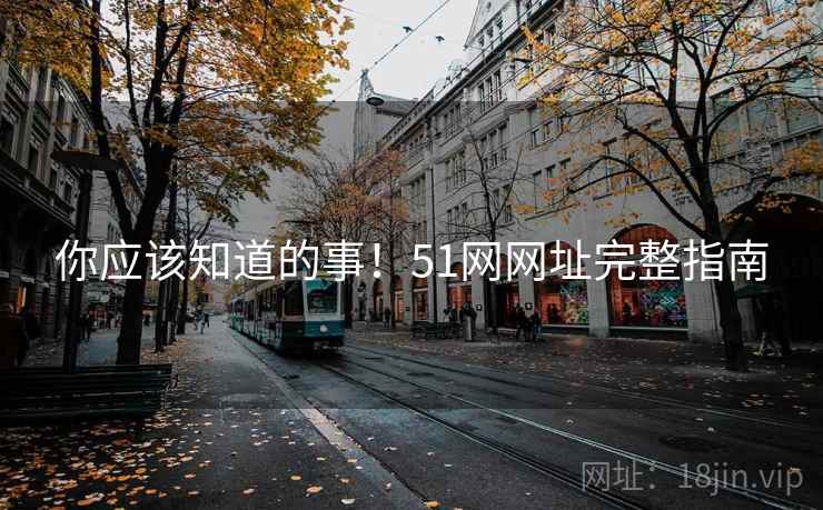你应该知道的事！51网网址完整指南