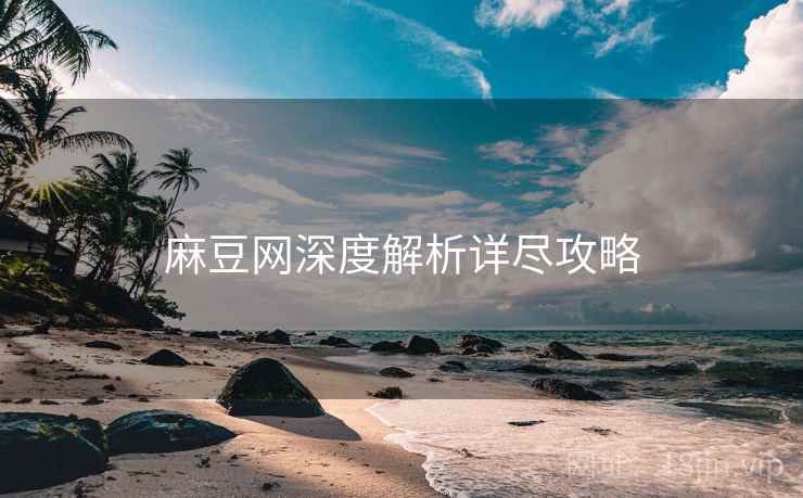 麻豆网深度解析详尽攻略