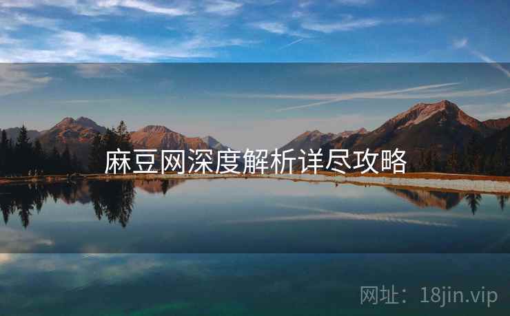麻豆网深度解析详尽攻略