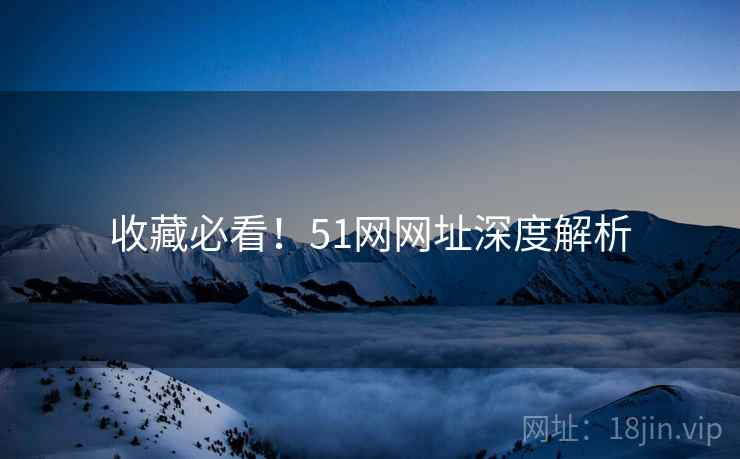 收藏必看！51网网址深度解析