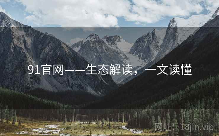 91官网——生态解读，一文读懂