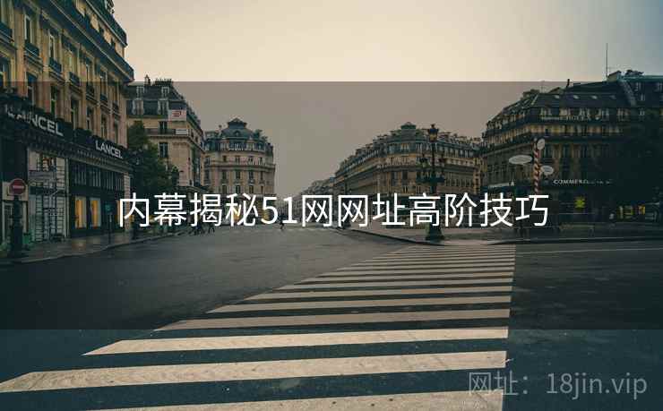 内幕揭秘51网网址高阶技巧