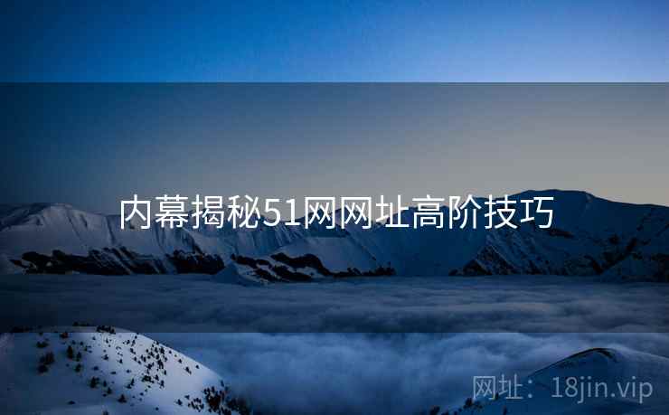 内幕揭秘51网网址高阶技巧