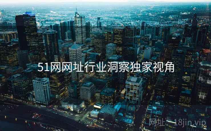 51网网址行业洞察独家视角