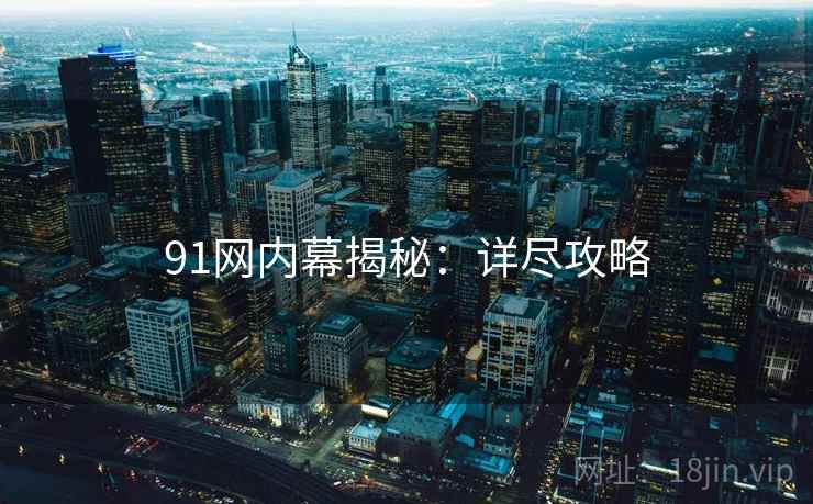 91网内幕揭秘：详尽攻略