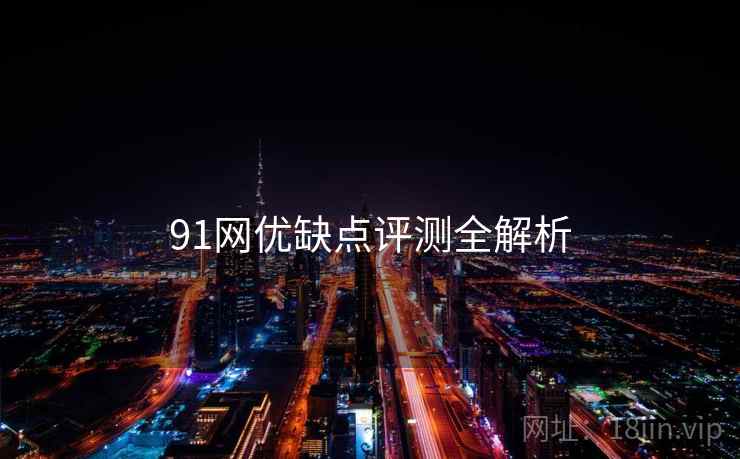 91网优缺点评测全解析