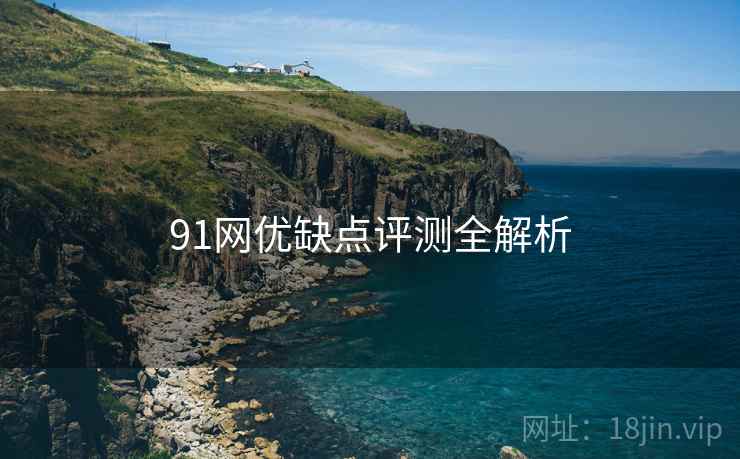 91网优缺点评测全解析